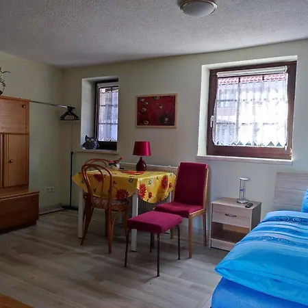 Hofappartements 公寓 Flechtingen